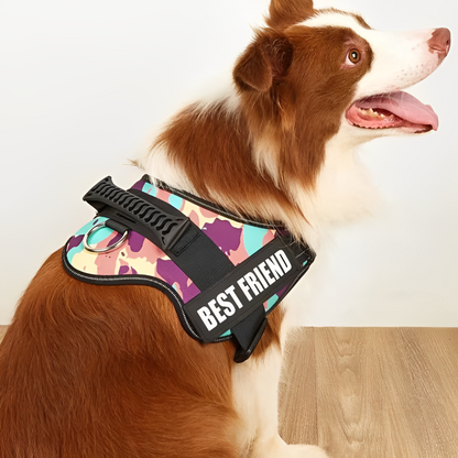 Personalized Dog Harness - Purrfect®