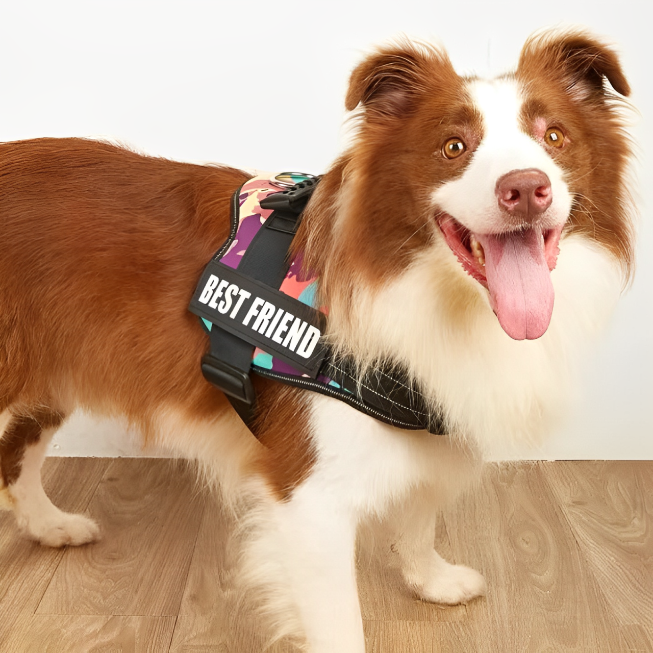 Personalized Dog Harness - Purrfect®