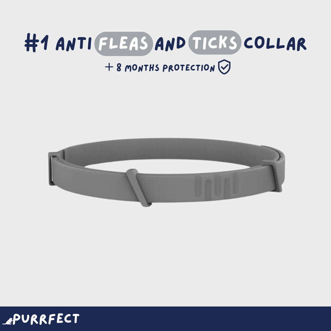 Flea & Tick Collar - Purrfect®