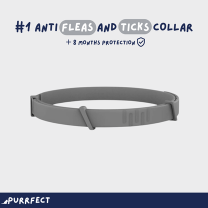 Flea & Tick Collar - Purrfect®