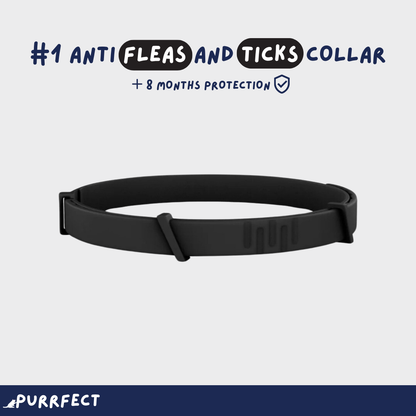 Flea & Tick Collar - Purrfect®