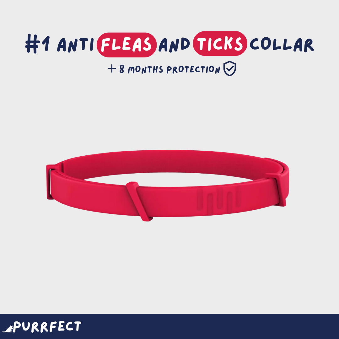 Flea & Tick Collar - Purrfect®