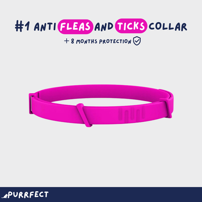 Flea & Tick Collar - Purrfect®