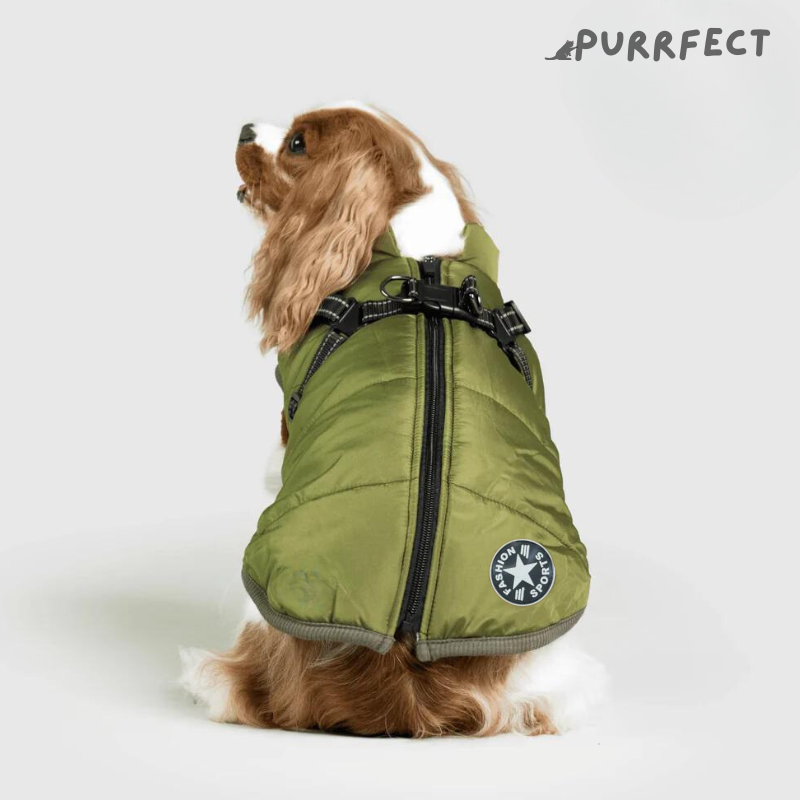 Winter Dog Jacket - Purrfect®