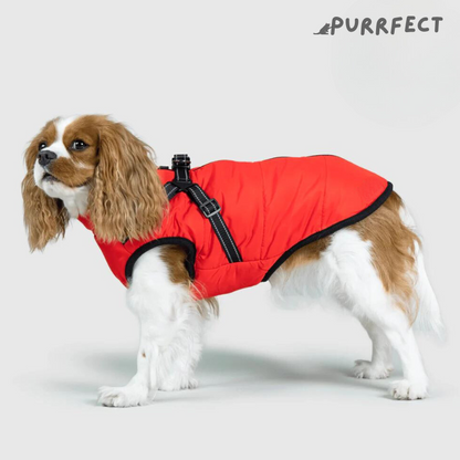 Winter Dog Jacket - Purrfect®