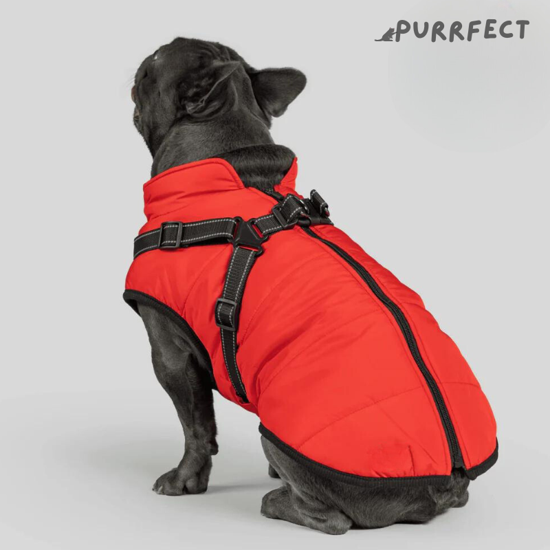 Winter Dog Jacket - Purrfect®