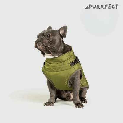 Winter Dog Jacket - Purrfect®