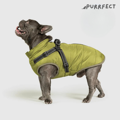 Winter Dog Jacket - Purrfect®