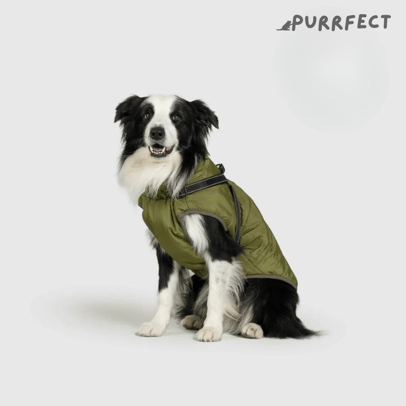 Winter Dog Jacket - Purrfect®