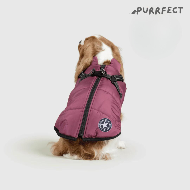 Winter Dog Jacket - Purrfect®