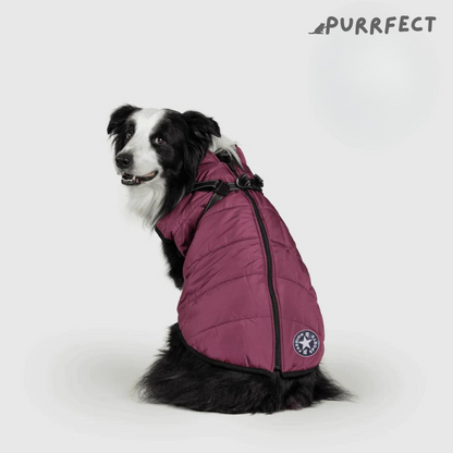 Winter Dog Jacket - Purrfect®