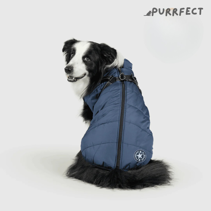 Winter Dog Jacket - Purrfect®