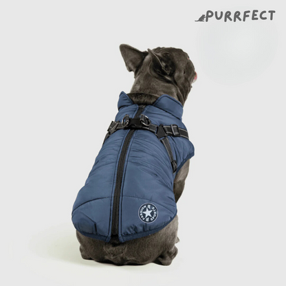 Winter Dog Jacket - Purrfect®