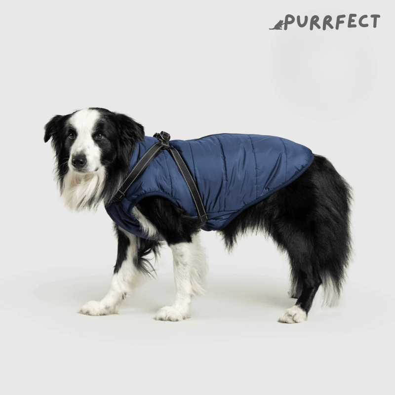 Winter Dog Jacket - Purrfect®