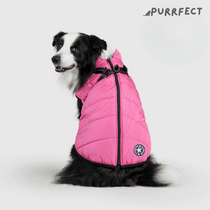 Winter Dog Jacket - Purrfect®