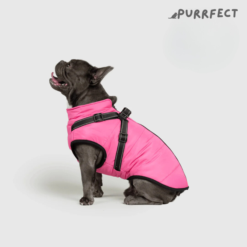 Winter Dog Jacket - Purrfect®