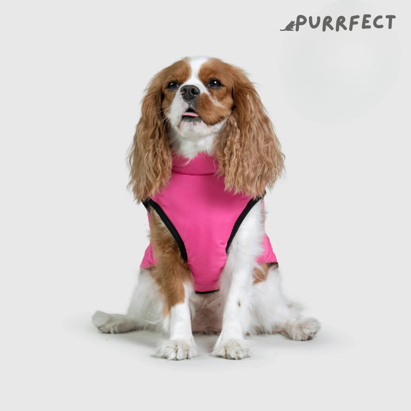 Winter Dog Jacket - Purrfect®