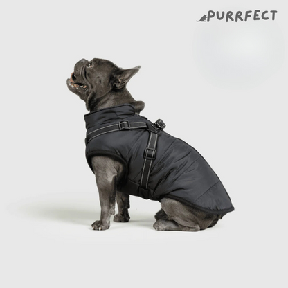 Winter Dog Jacket - Purrfect®