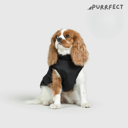 Winter Dog Jacket - Purrfect®