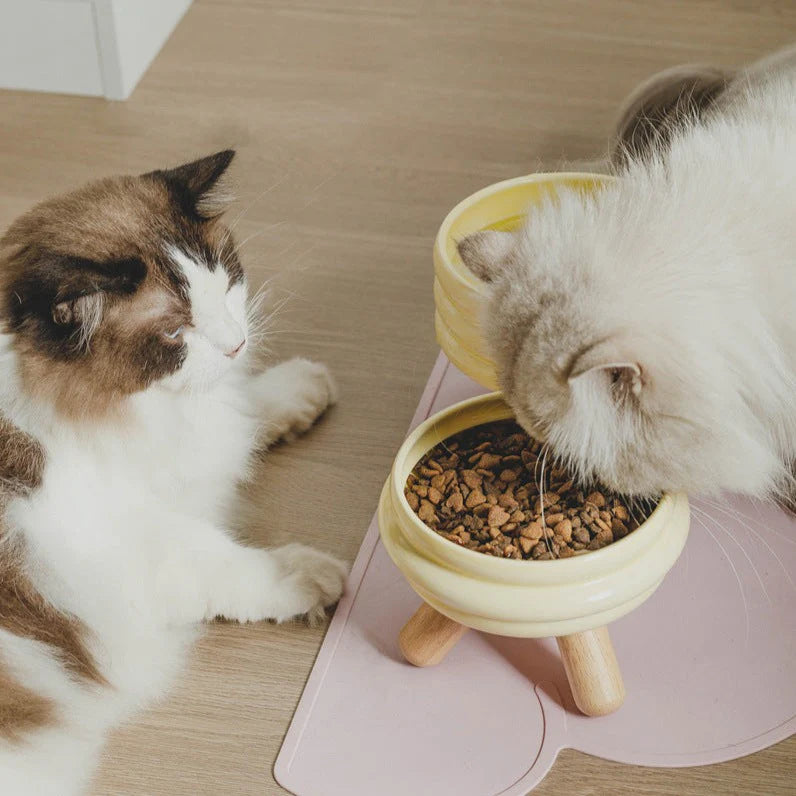 Ceramic Elevated Cat Bowl - Purrfect®