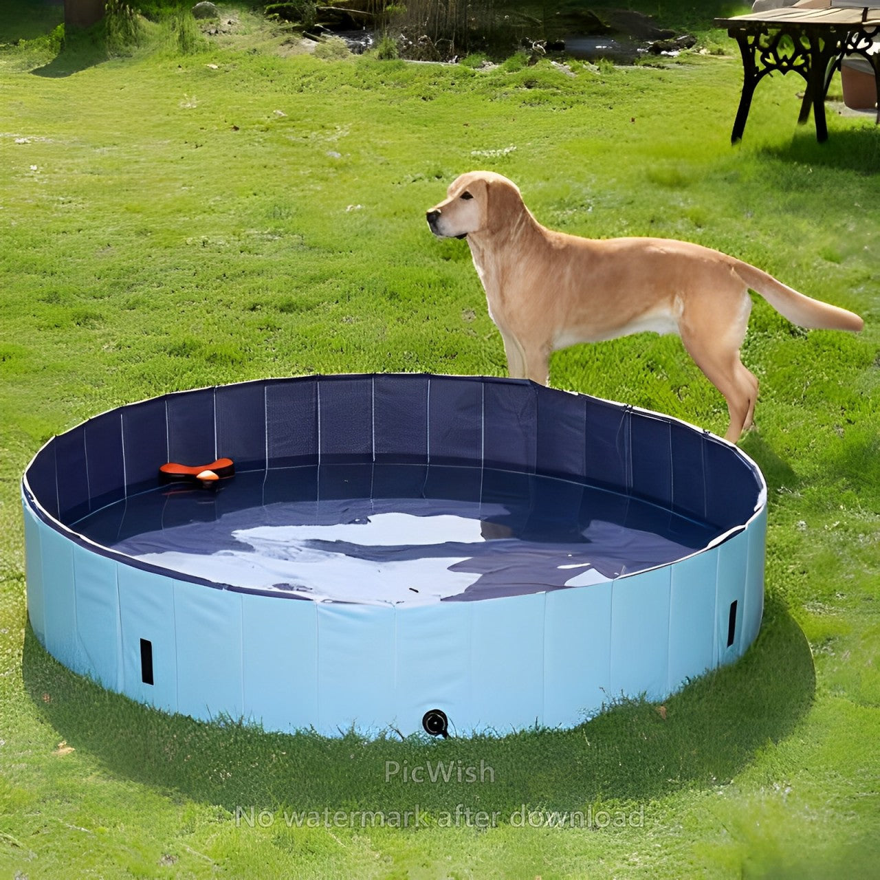 Dog Swimming Pool - Purrfect®